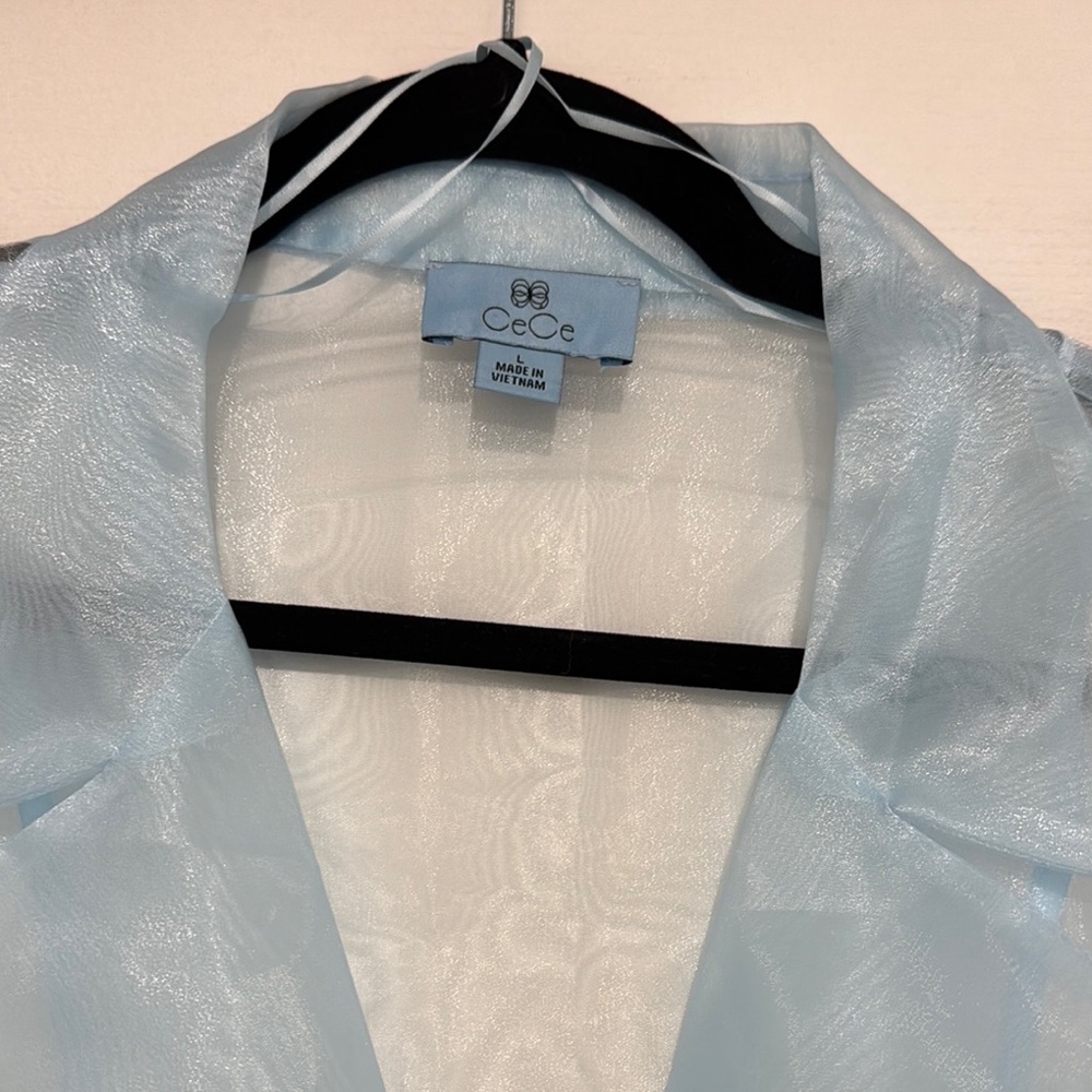 CeCe Sky Blue Sheer Top